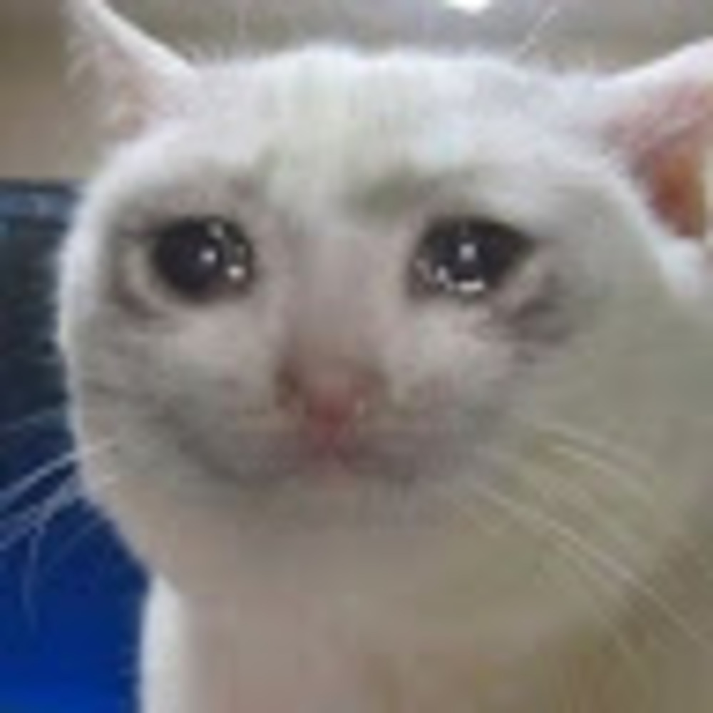 Meet your Posher, Dillago